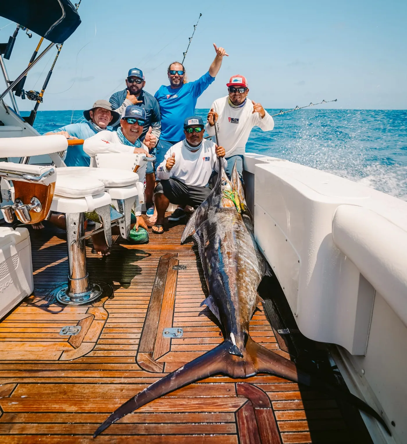 Deep sea Fishing in Cabo – Blue Marlin | Tag Cabo Sportfishing