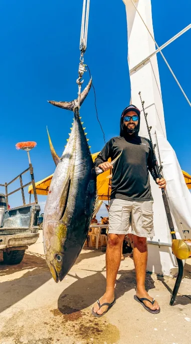 Yellowfin tuna weighed on the dock in Cabo San Lucas