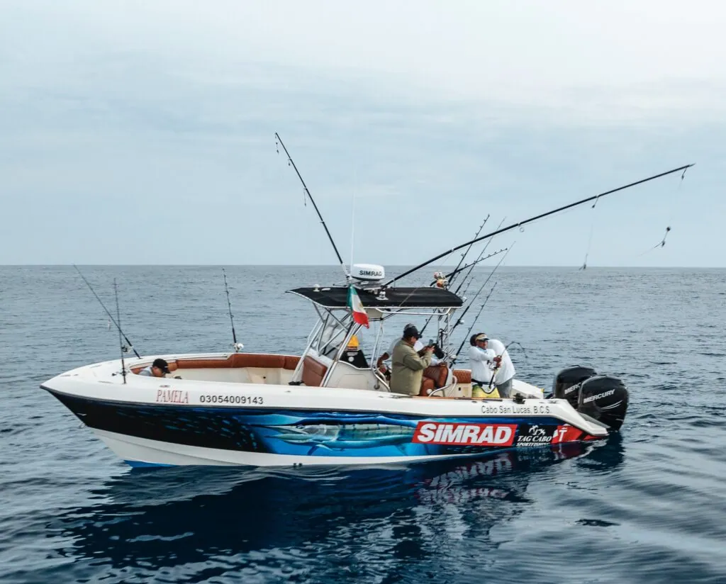 Panga and Center Console Adventures in Los Cabos