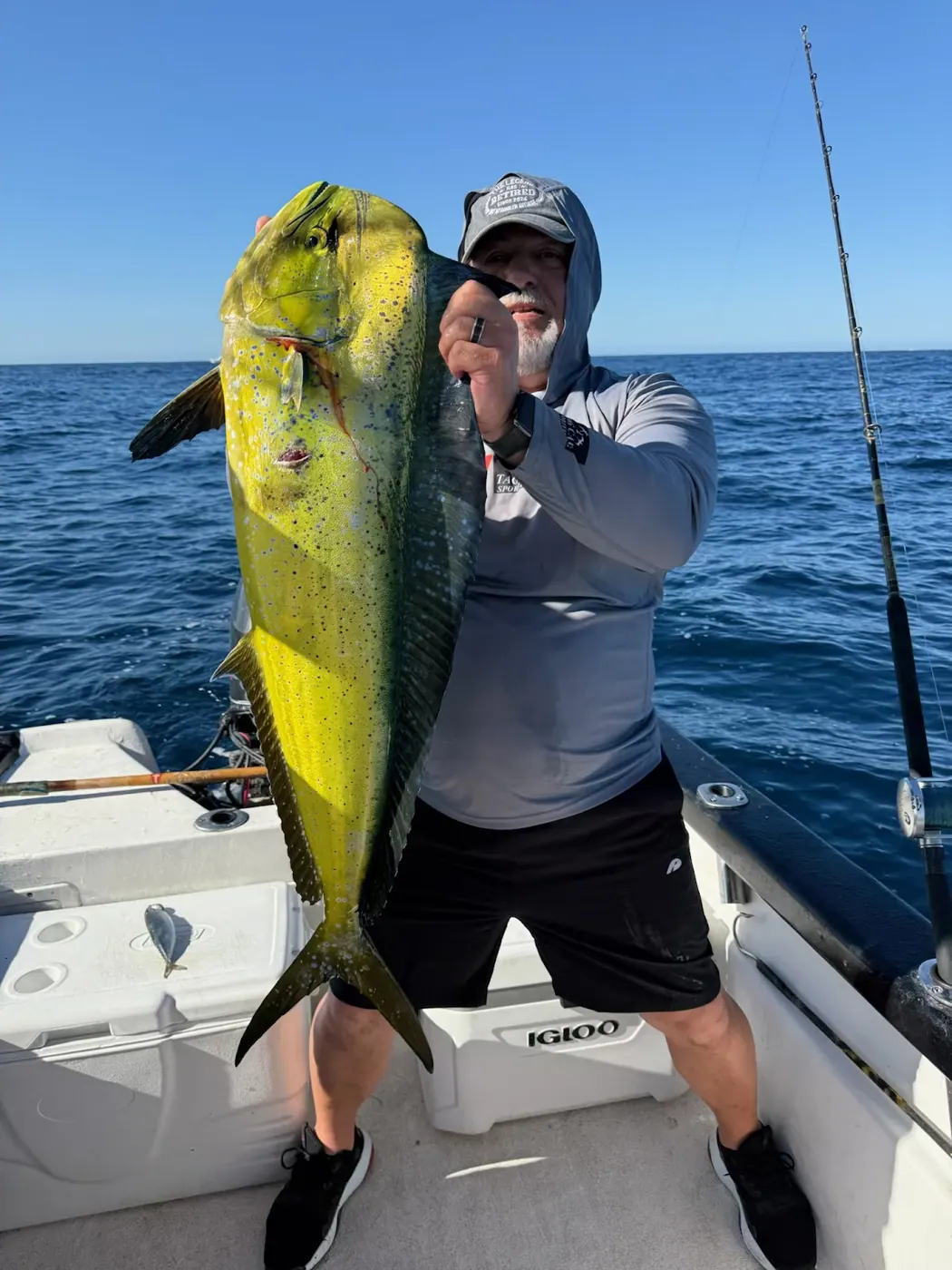 Catch photo shared by Vince Pangallo on their Tag Cabo Sportfishing review