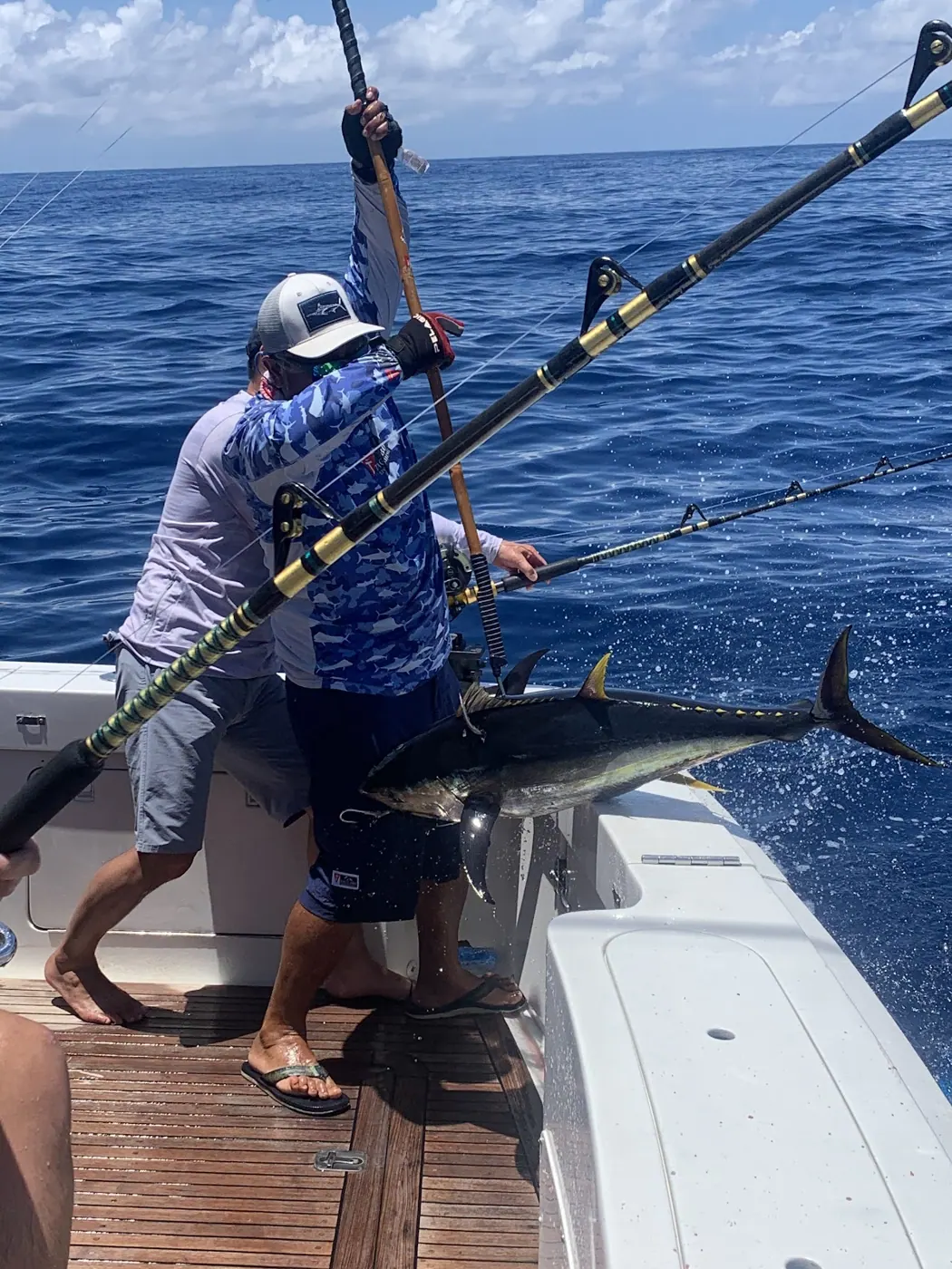Catch photo shared by RAD Studios on their Tag Cabo Sportfishing review