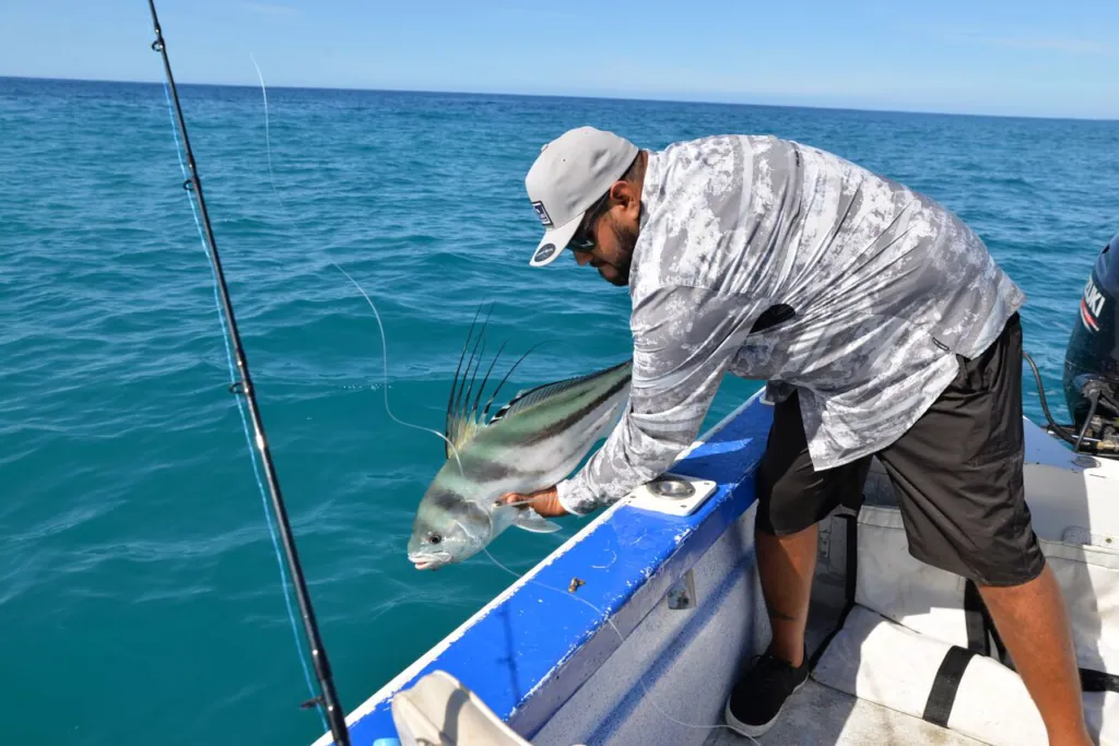 Practice Catch and Release