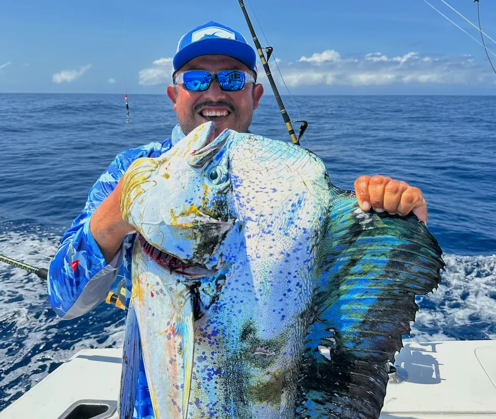 Dorado Frenzy: Multi-Day Mahi-Mahi Action in Cabo's Summer Waters