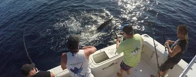 Inshore Fishing Vs. Deep-Sea Fishing: Which Offers A Better Experience?