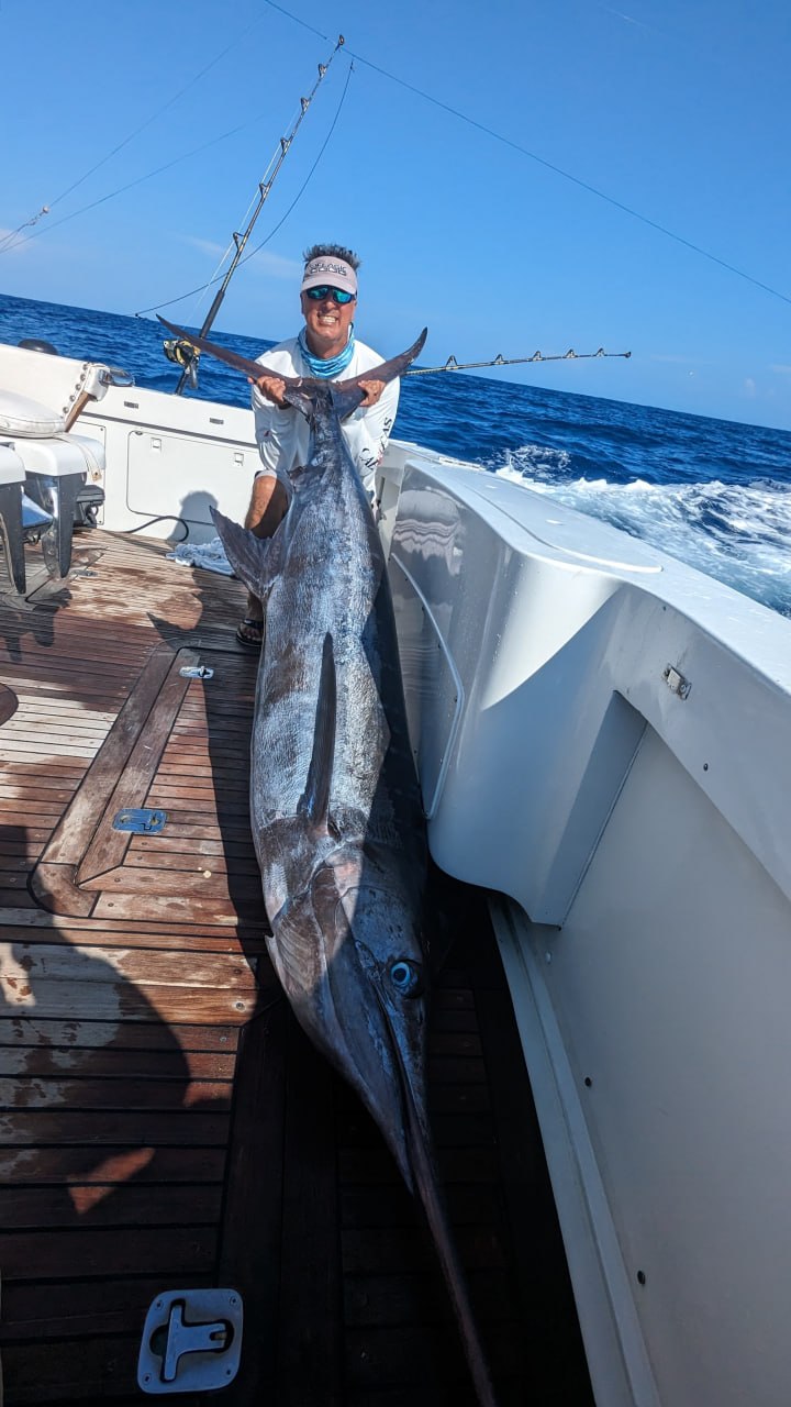 Blue & Black Marlin