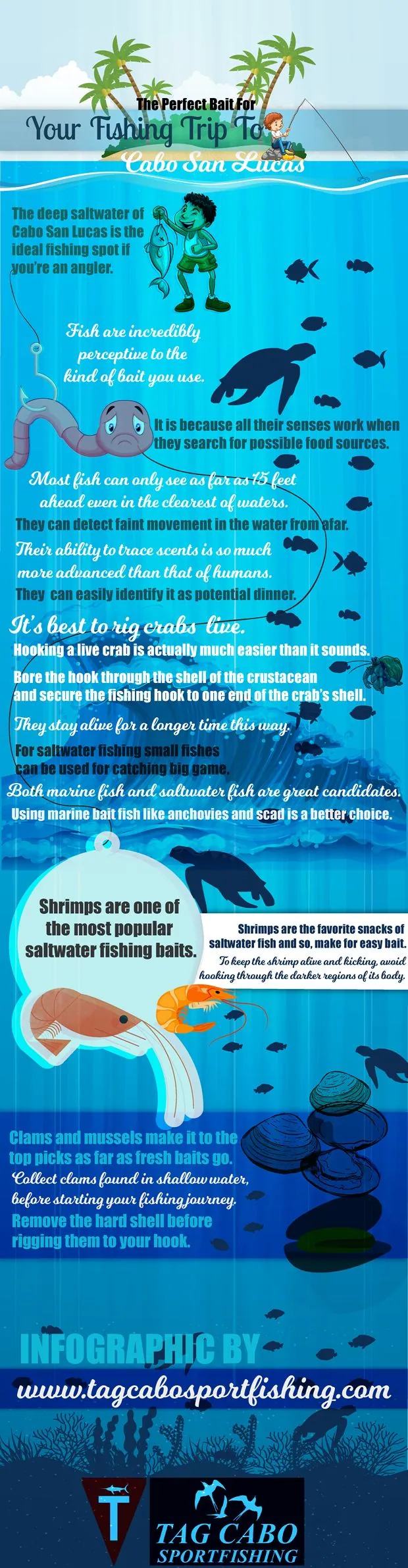 Fishing Trip