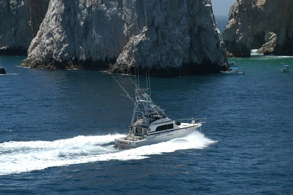 Picking the Best Time for Deep Sea Fishing in Cabo San Lucas, Mexico