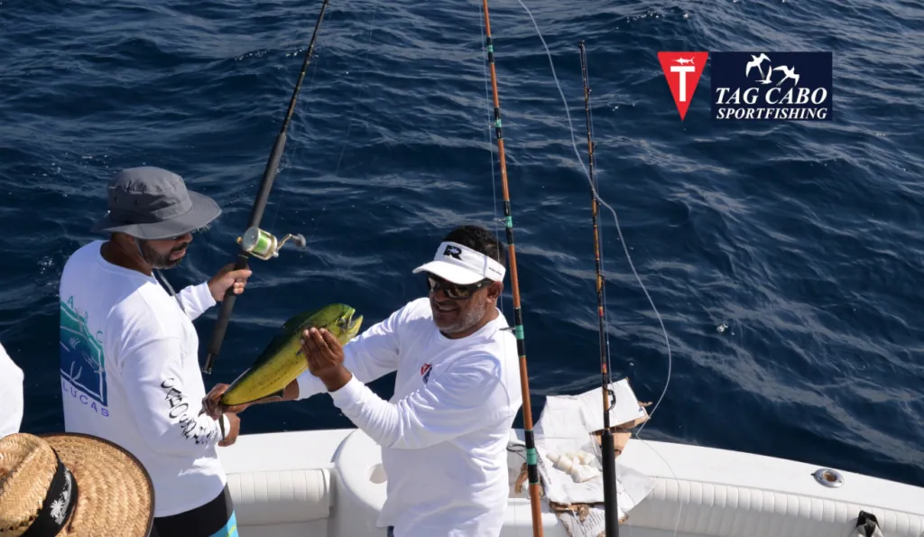 small and big fishing rods