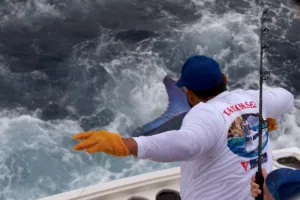 Cabo San Lucas fishing report