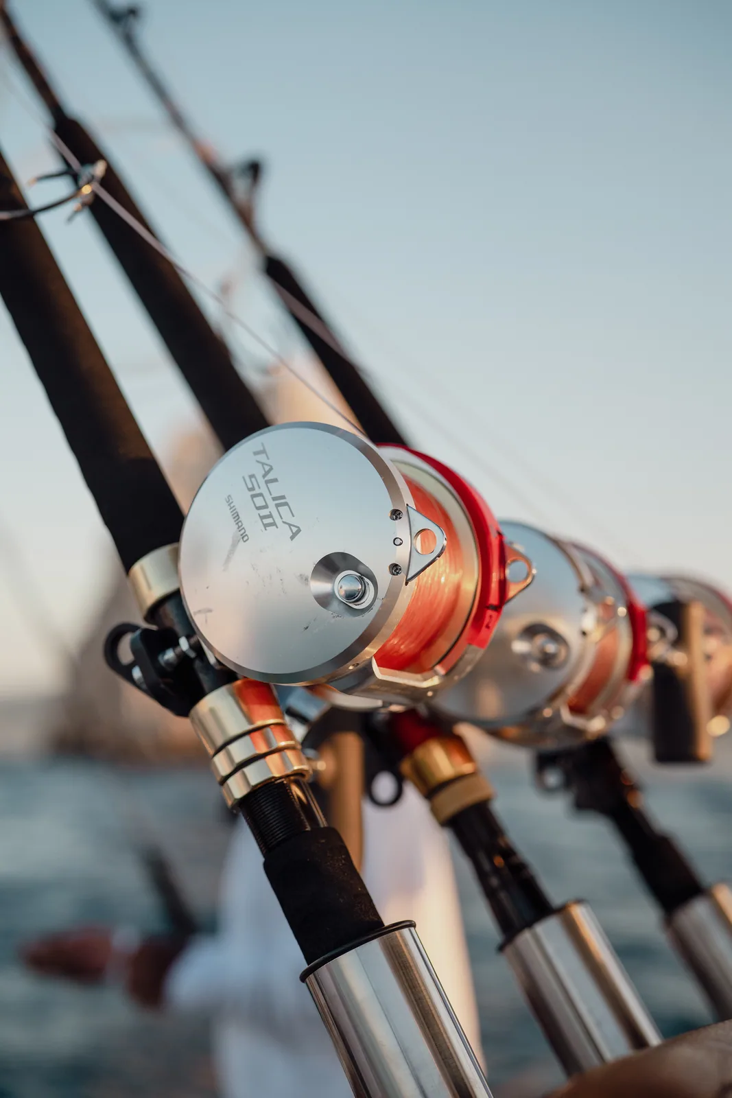 Cabo San Lucas sportfishing with Tag Cabo Sportfishing