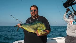 Dorado (Mahi-Mahi)