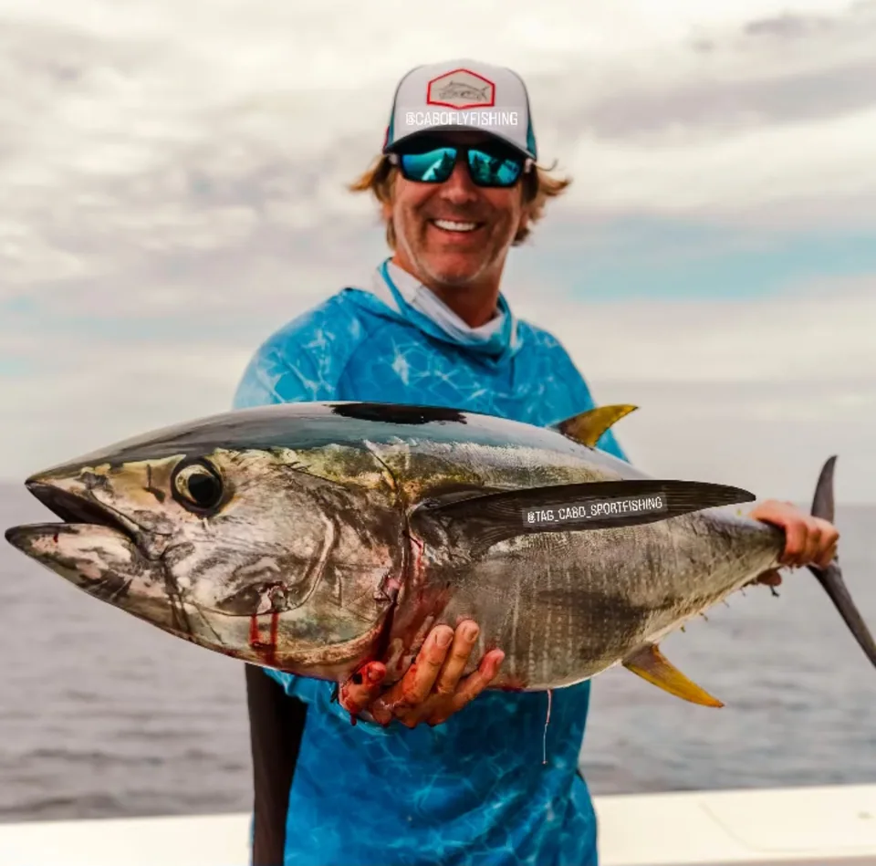 Yellowfin Tuna