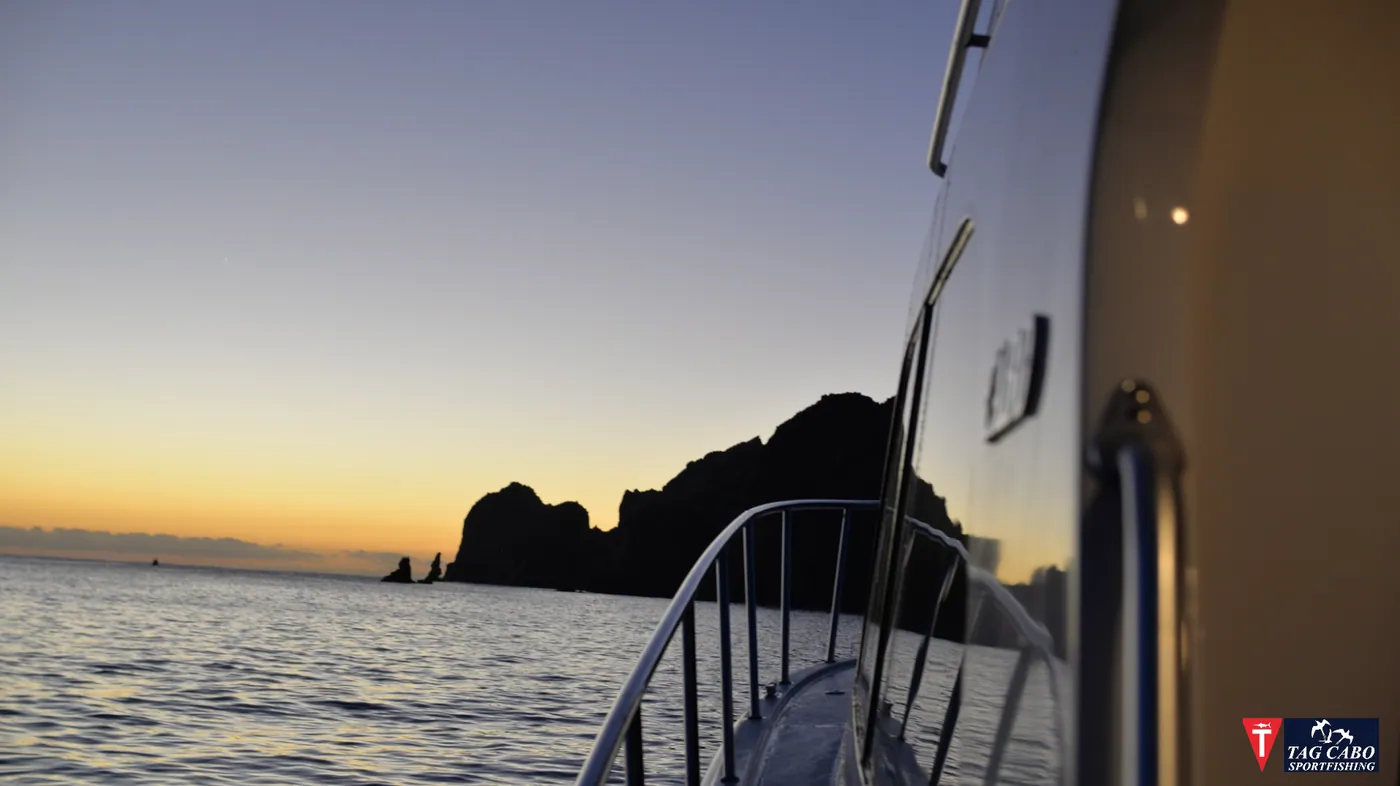 Cabo fishing report November 2017