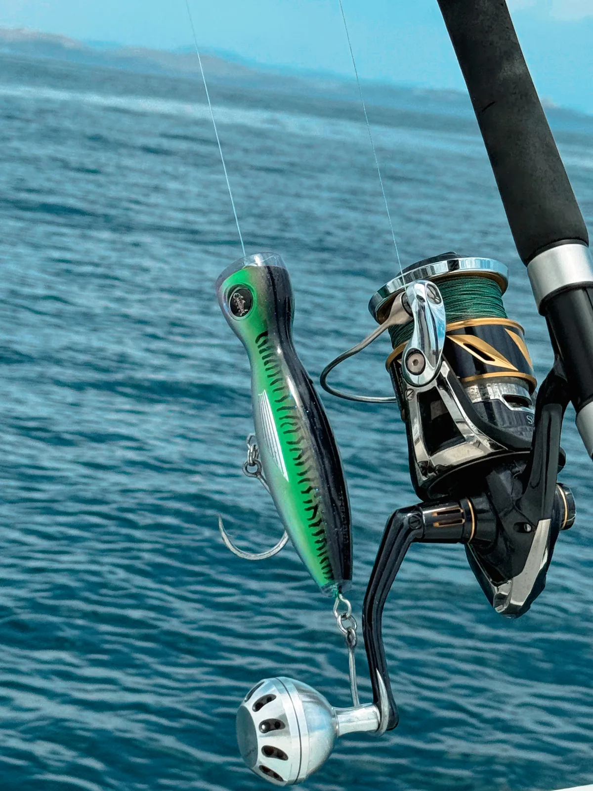 Cabo San Lucas sportfishing with Tag Cabo Sportfishing