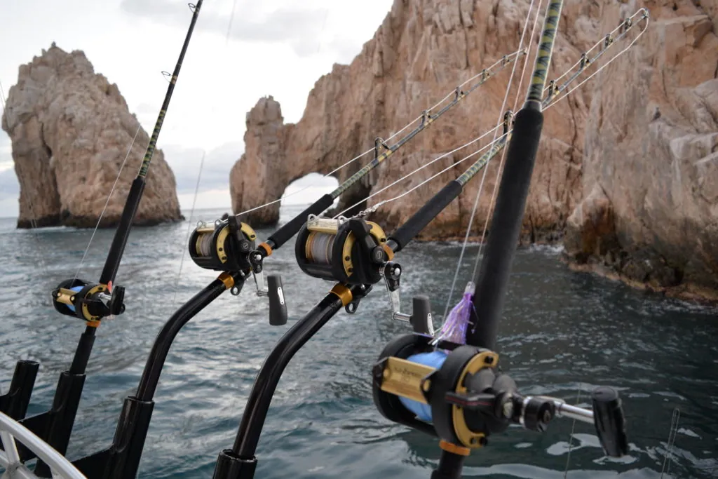 Cabo fishing reports / Cabo fishing report / Cabo fishing rentals