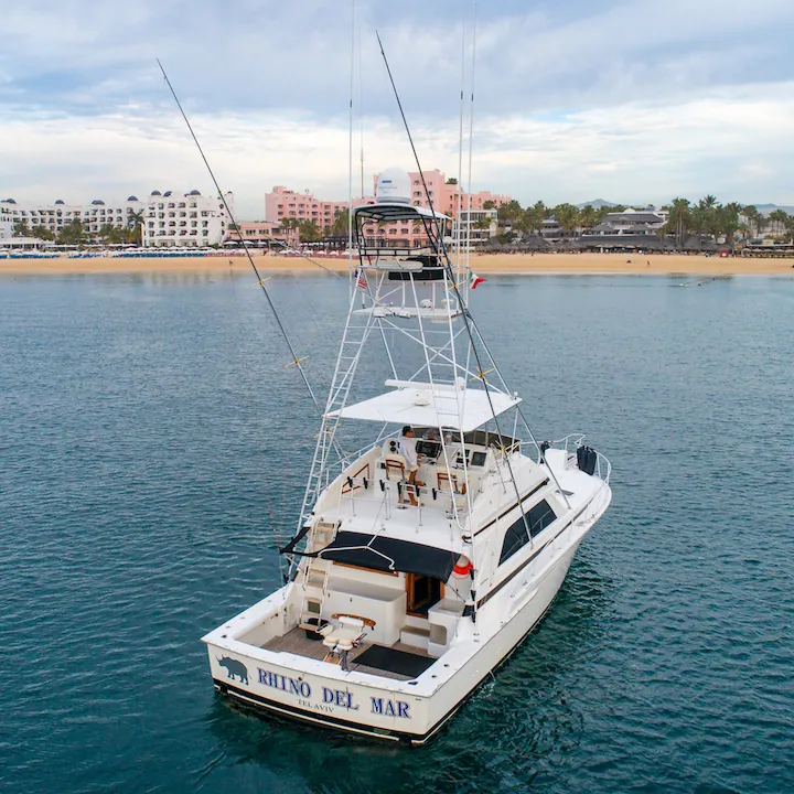 50ft Bertram