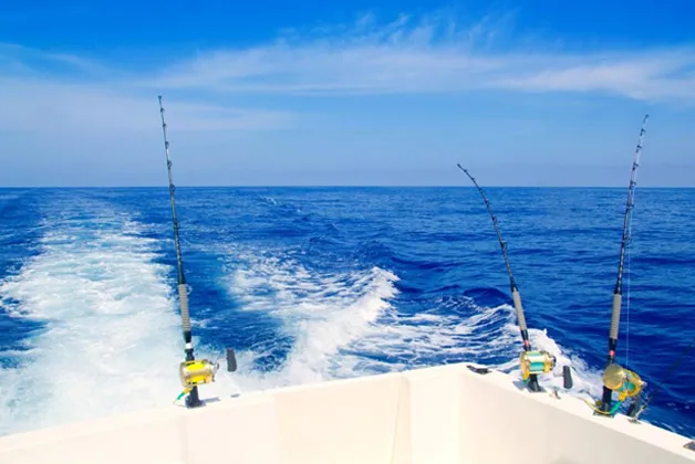Cabo San Lucas Sports Fishing-Types of Fishing Reels