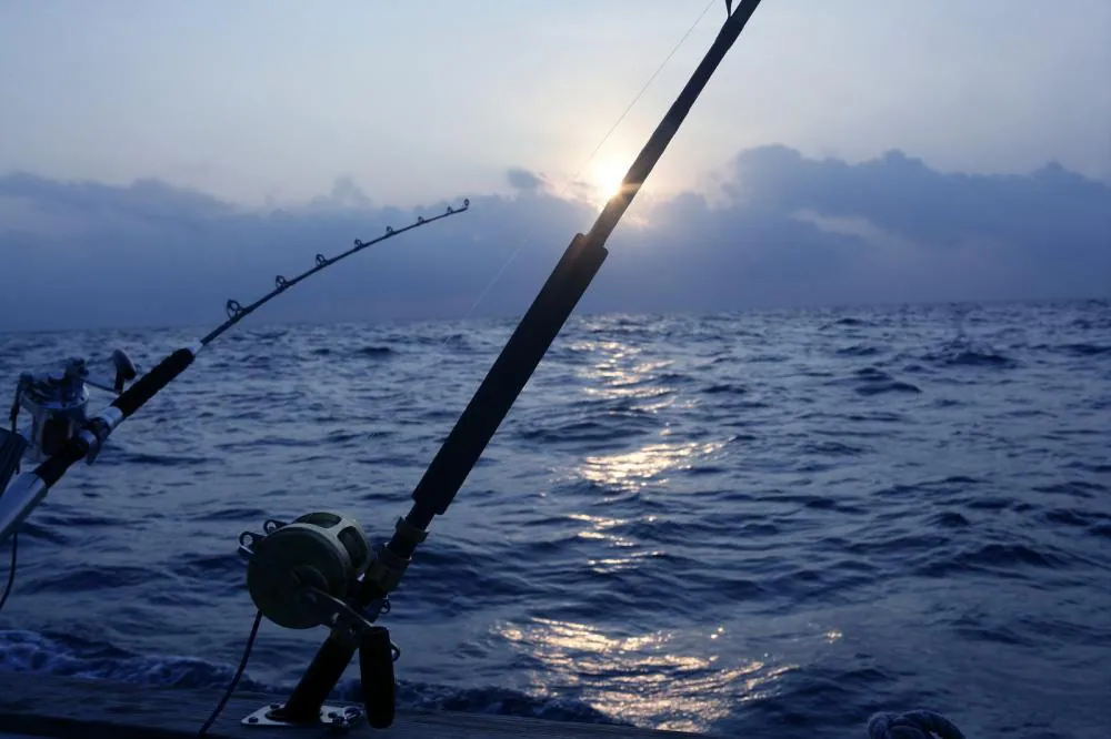 fishing rod