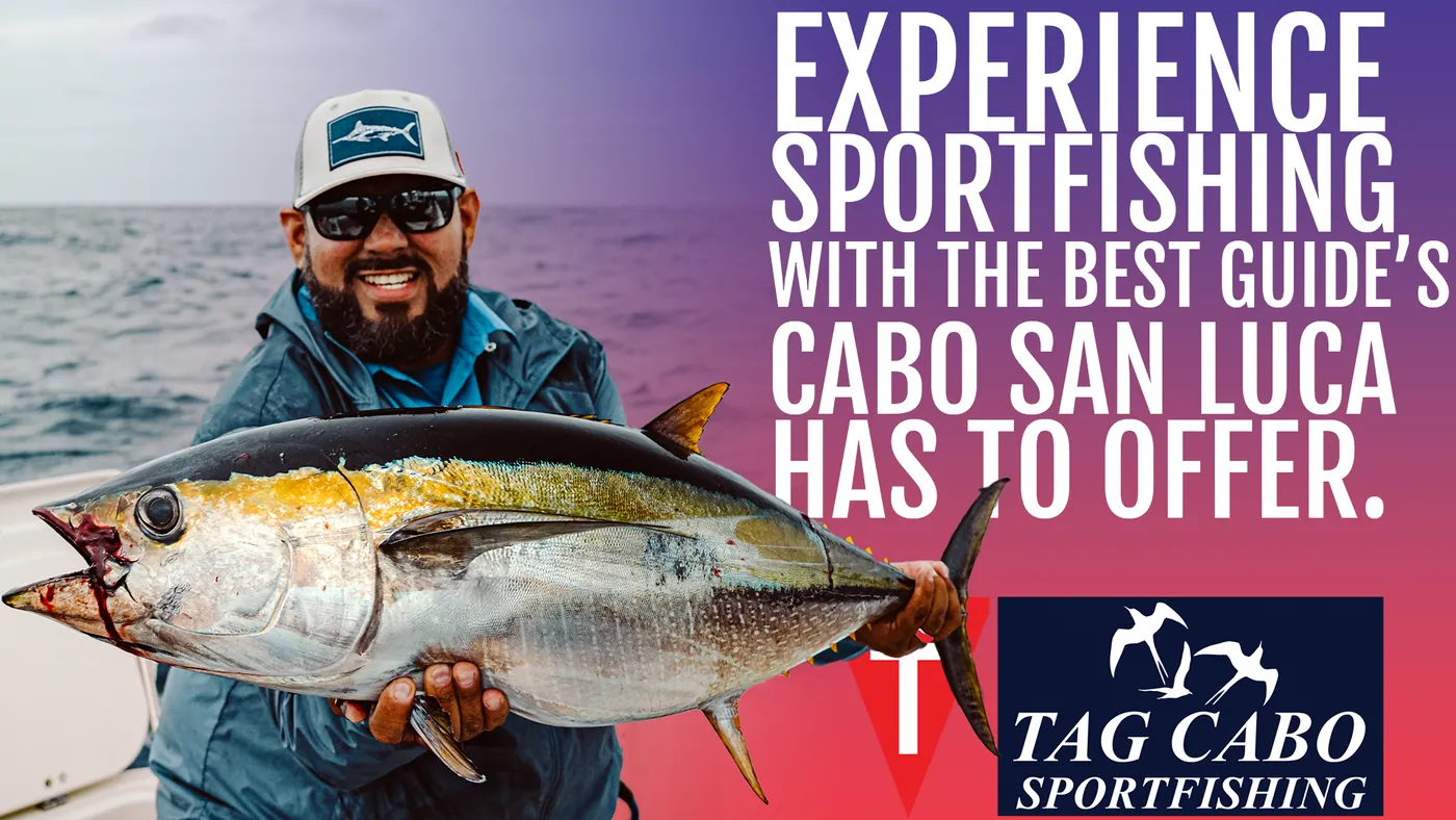 The ABC of Finding the right fishing charters | Cabo fishing charters