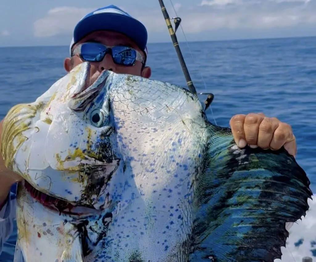 Top Lures for Marlin Tuna and Dorado in Baja Waters