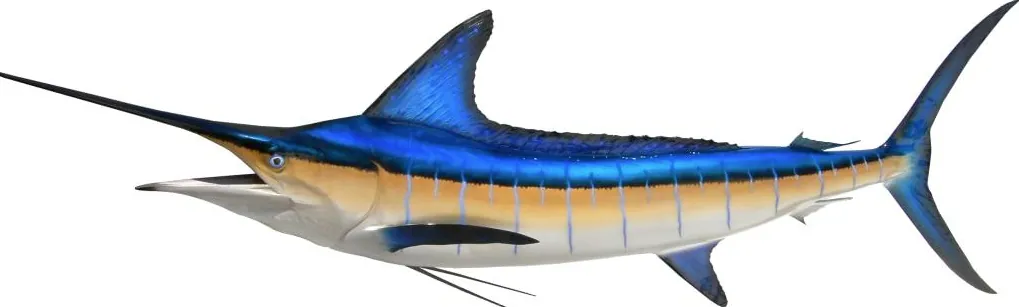 The Top 7 Marlin Fishing Spots Worldwide