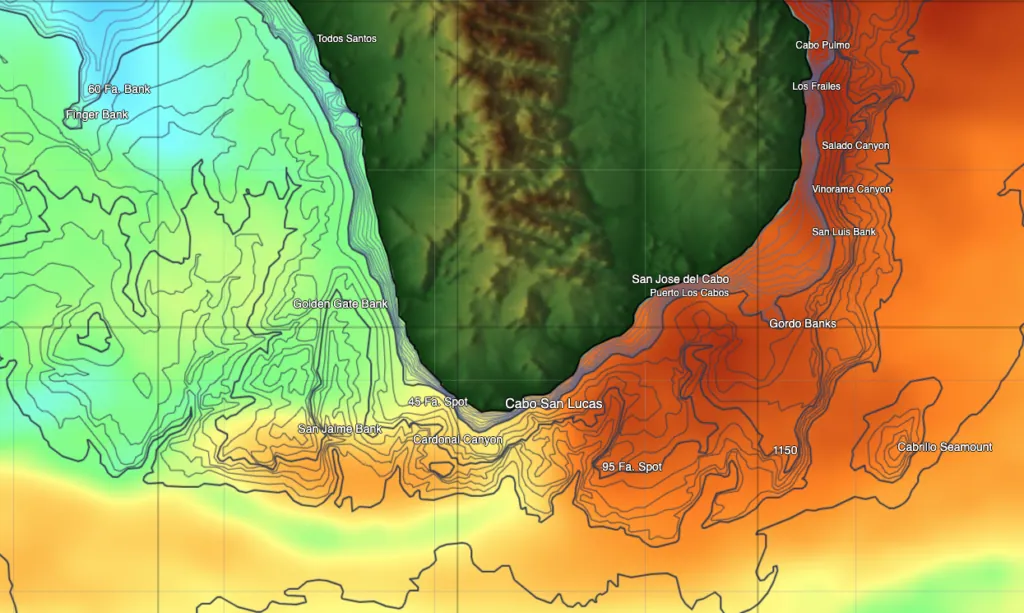 Temperature Breaks and Plankton Blooms Lure Big Game Fish