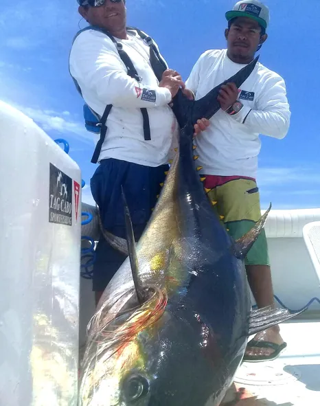 An Fishing Expedition of A Lifetime: Catching 200 lbs. Tunas in Cabo San Lucas!
