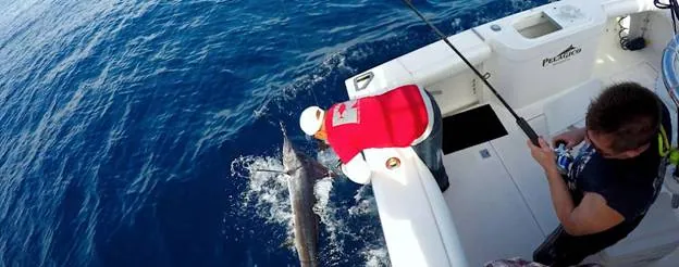 A fishing trip in Cabo San Lucas, on a Tag Cabo Sportfishing yacht.