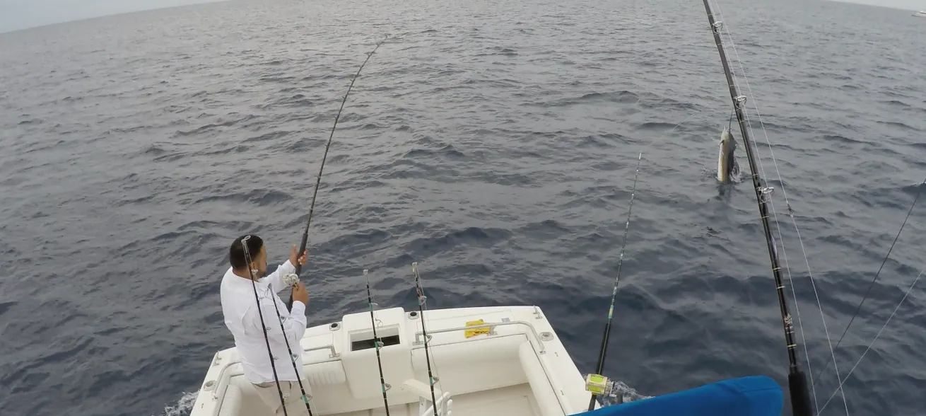 What is Fishing in Magdalena Bay, Mexico Like?