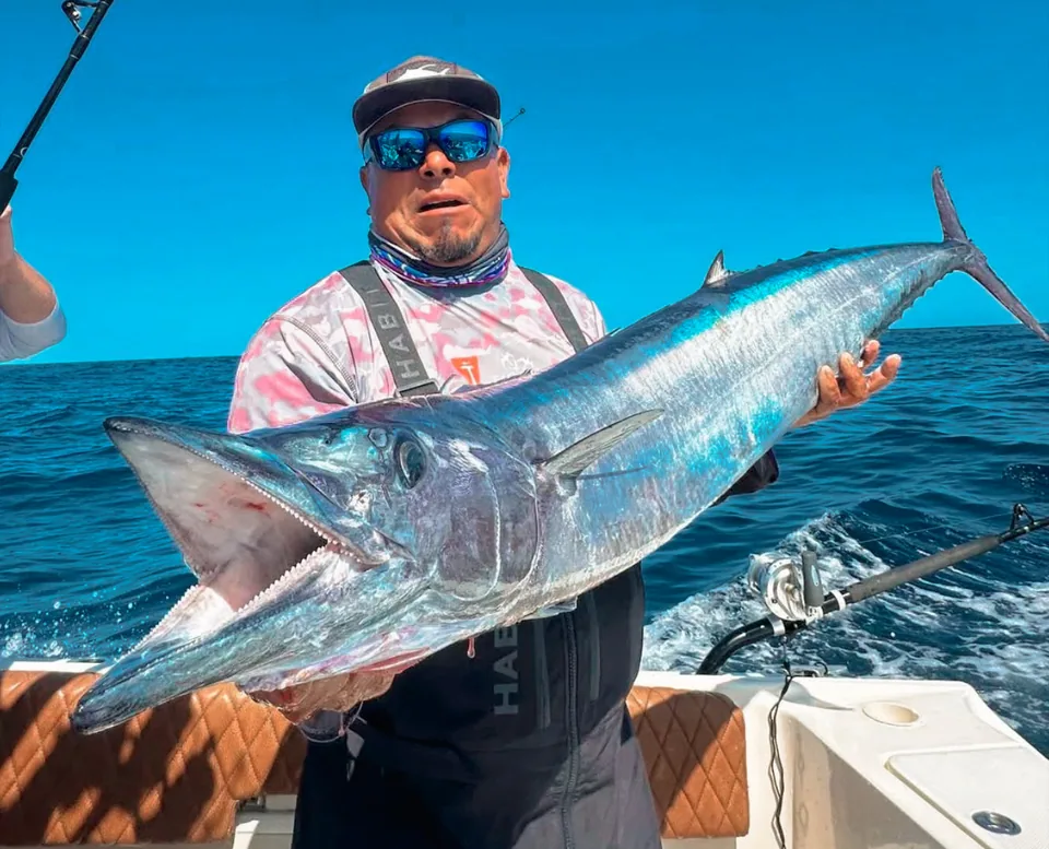 Wahoo
