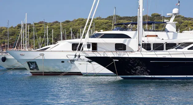 Cabo San Lucas Sports Fishing-Cruise Ship or Yacht Charter