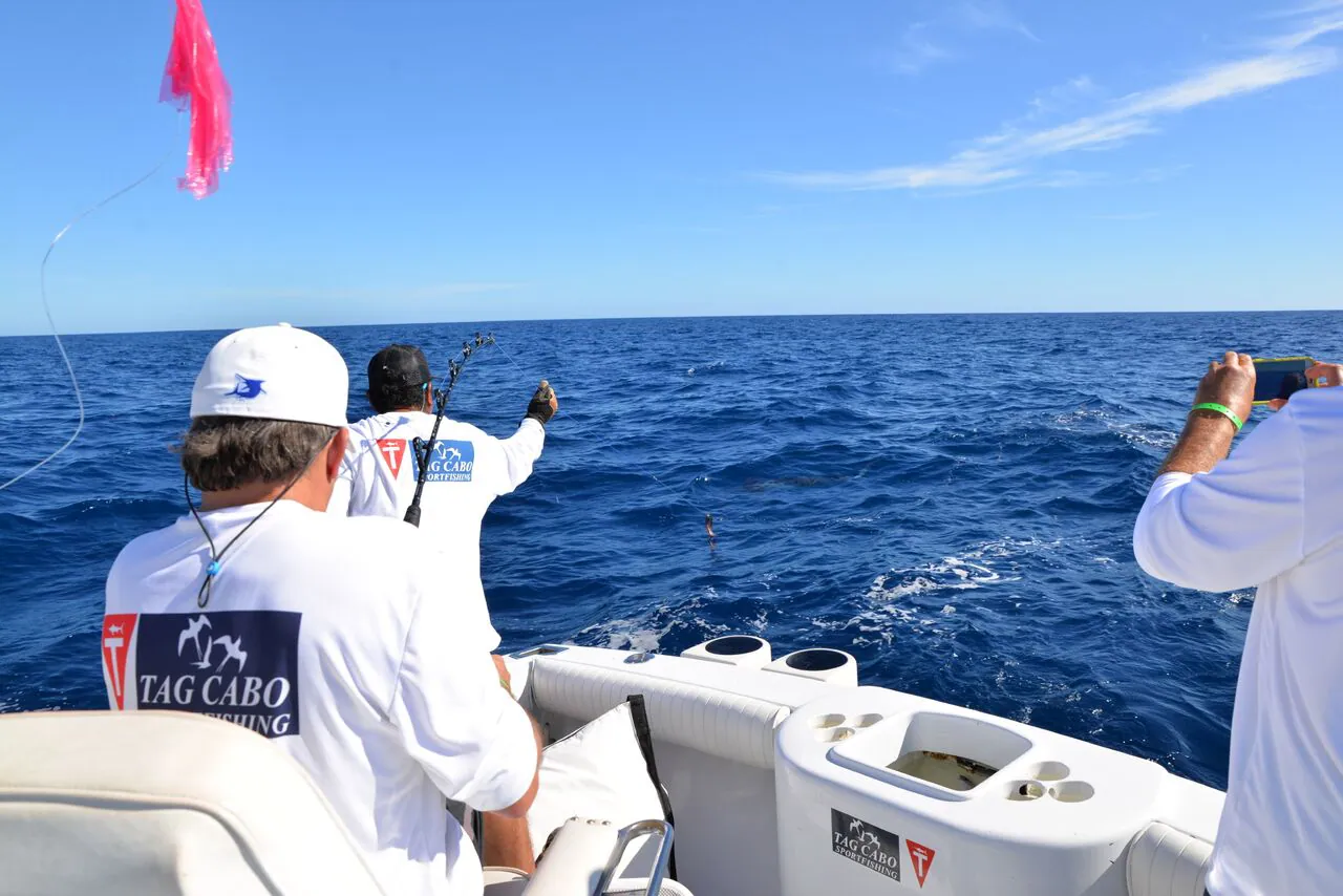 Stayin’ Alive: Best Ways To Keep Your Bait And Catch Fresh