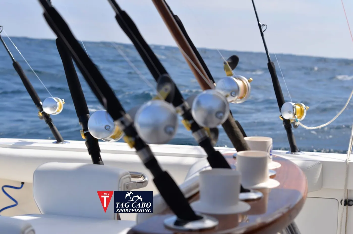 Deep Sea Fishing in Los Cabos