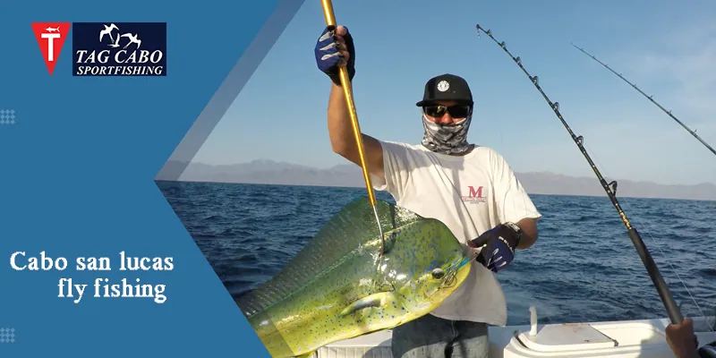 Why Fly Fishing in Cabo San Lucas Is The Best – Tag Cabo Sportfishing