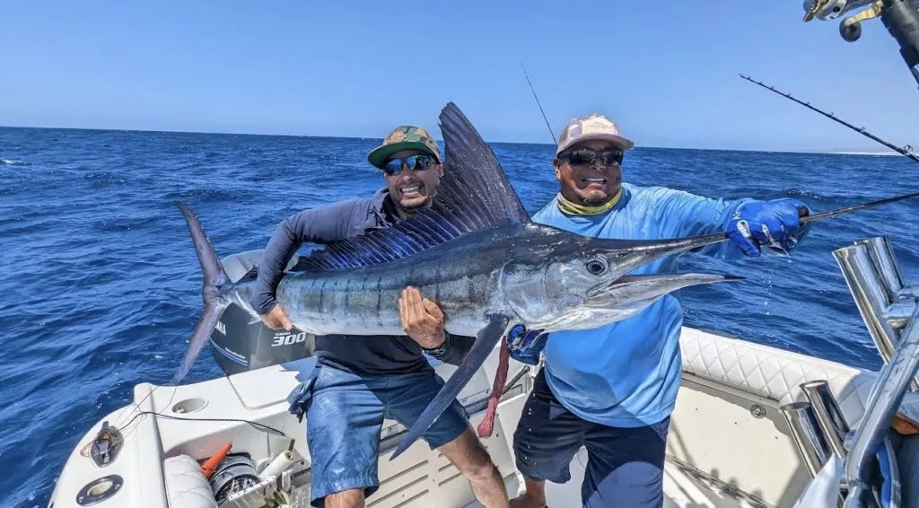 Top Things You Should Know Before Fishing in Los Cabos