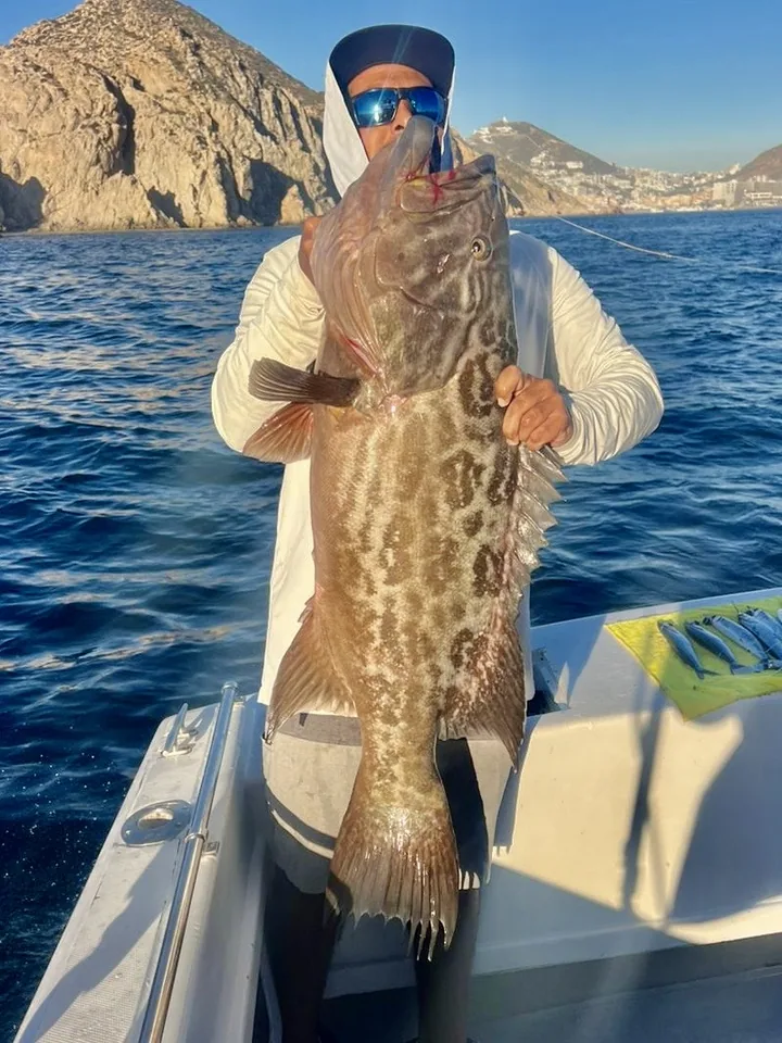 Cabo San Lucas sportfishing photo 23 with Tag Cabo Sportfishing