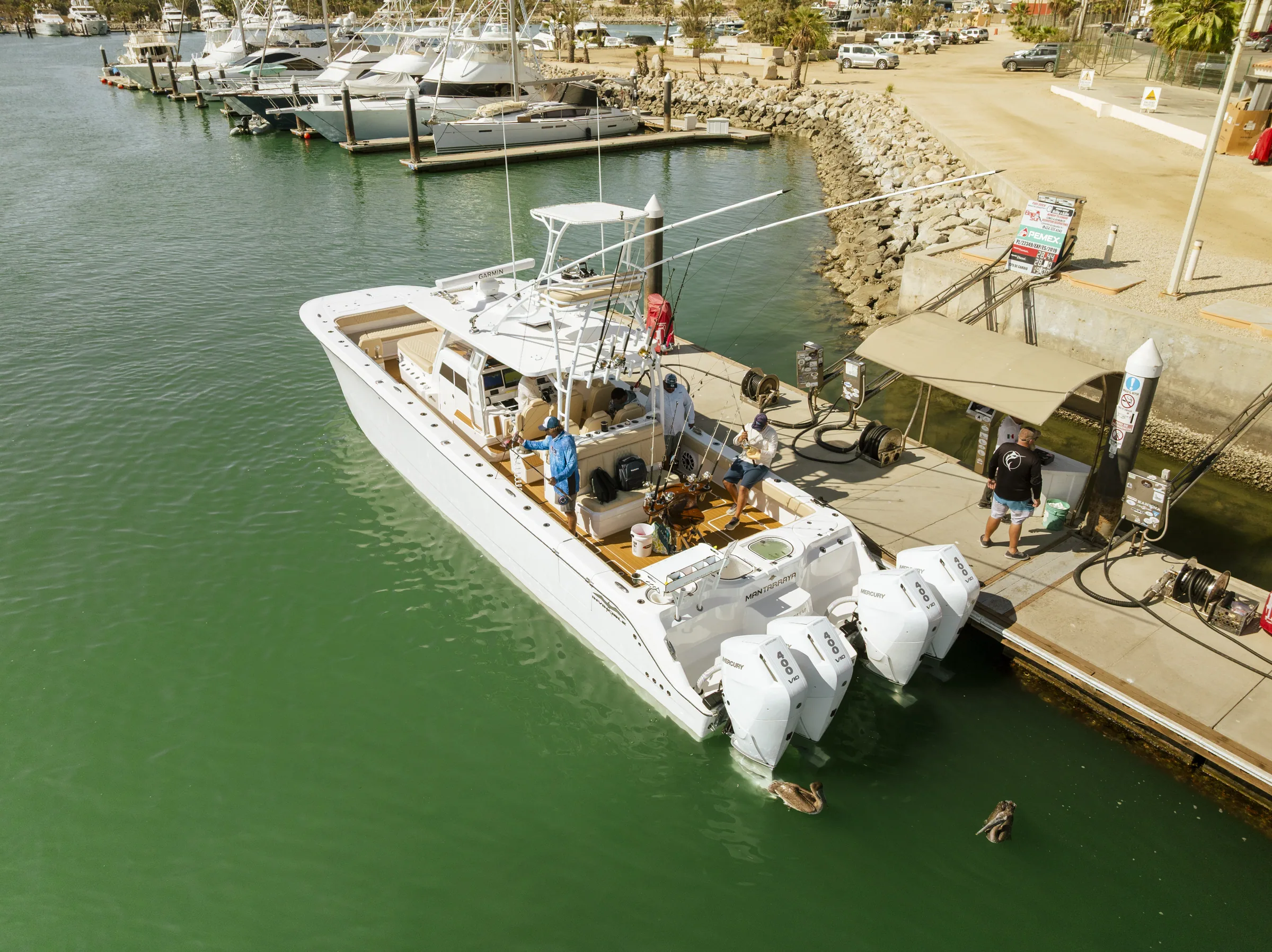 Cabo San Lucas sportfishing photo 17 with Tag Cabo Sportfishing