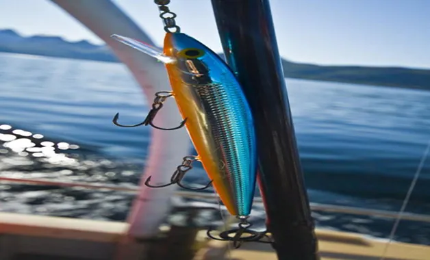 Improve Your Game Fish Catching Rate in Cabo San Lucas with the Right Trolling Speed and Bait Position