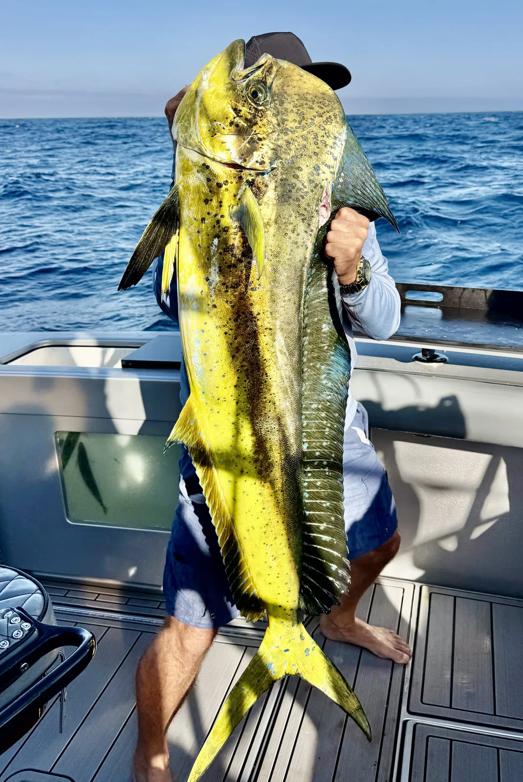 Dorado (Mahi-Mahi)