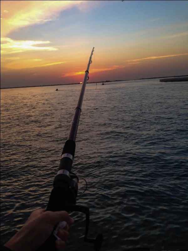 Go Fancy: 4 Ways How Yachts Optimize Your Fishing Experience