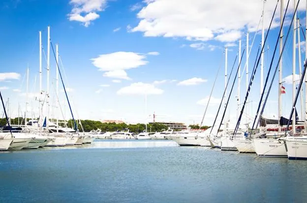 The Luxurious Fishing Fleets Available at Tag Cabo Sportfishing