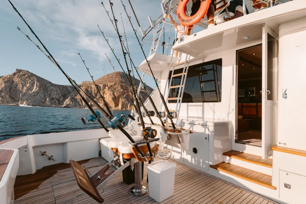 Fishing in Cabo? Everything You Should Know