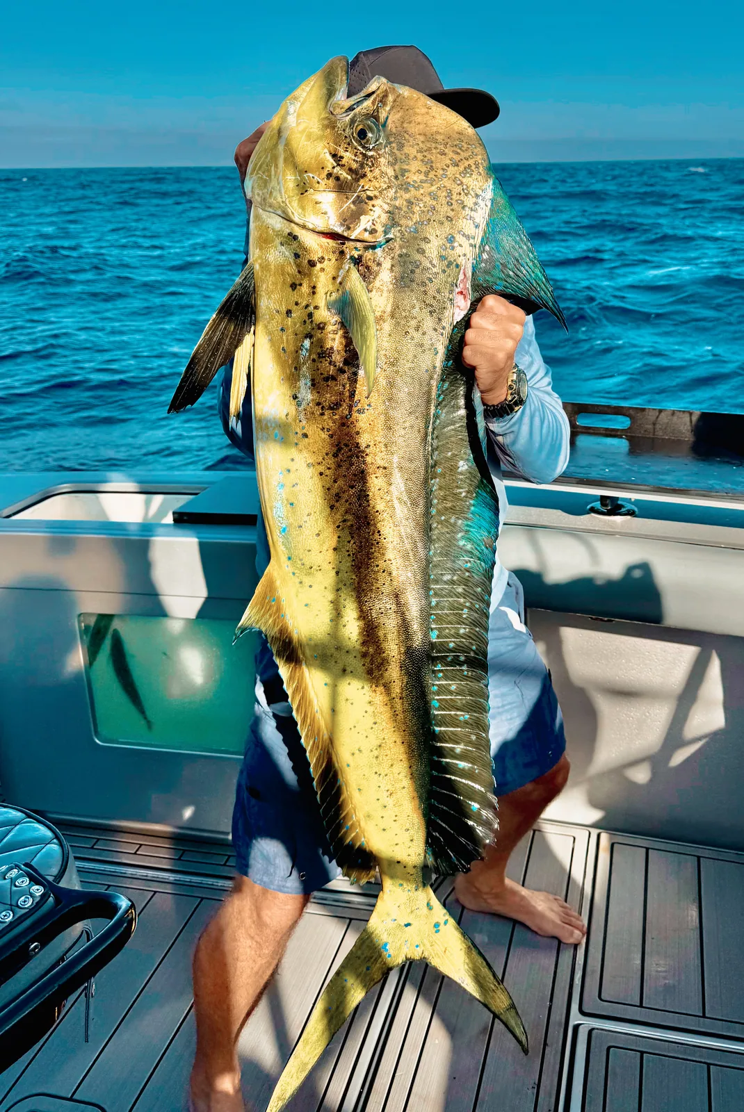 Cabo San Lucas sportfishing with Tag Cabo Sportfishing