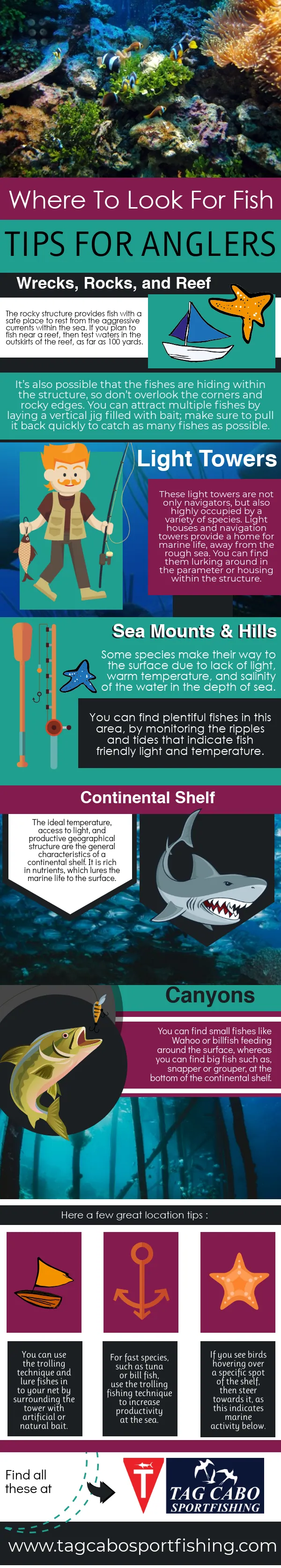 Tips For Anglers