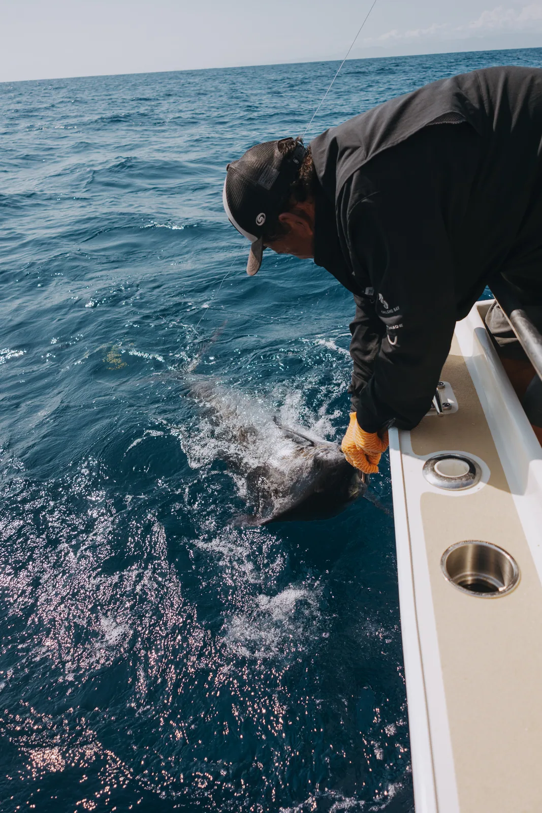 Cabo San Lucas sportfishing with Tag Cabo Sportfishing