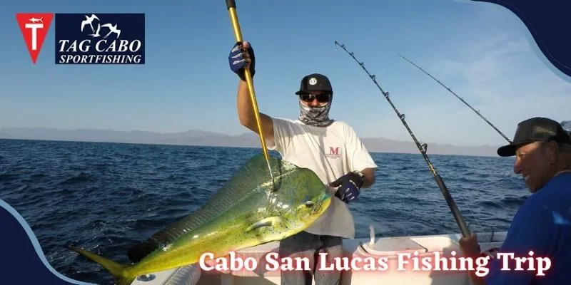 Cabo Fishing | Plan a Great Cabo San Lucas Fishing Trip