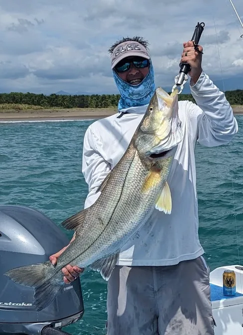 Mag Bay Charters in Cabo San Lucas