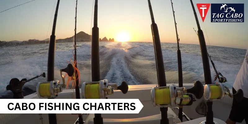 Book A Cabo Fishing Charters For A Romantic Valentine’s Day