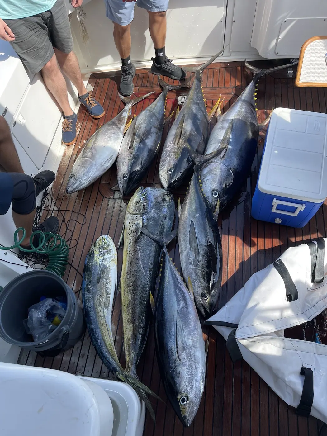 Catch photo shared by Nate Touponce on their Tag Cabo Sportfishing review