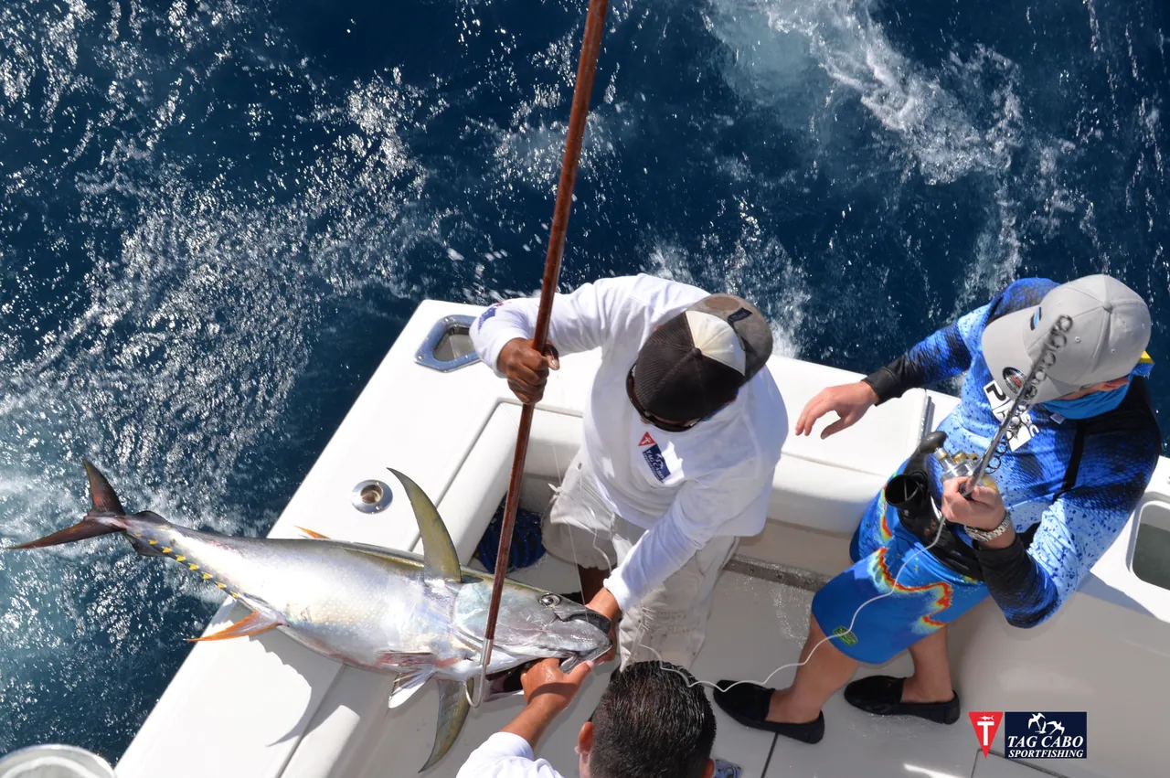 Preserve Fish and Keep Your Bait Fresh